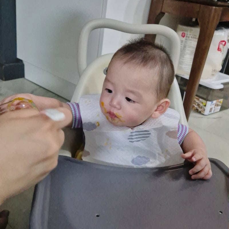 모융 분리형 실리콘 밥솥칸막이 초기 이유식 후기! 친정 갈 때 육아 꿀템 추천