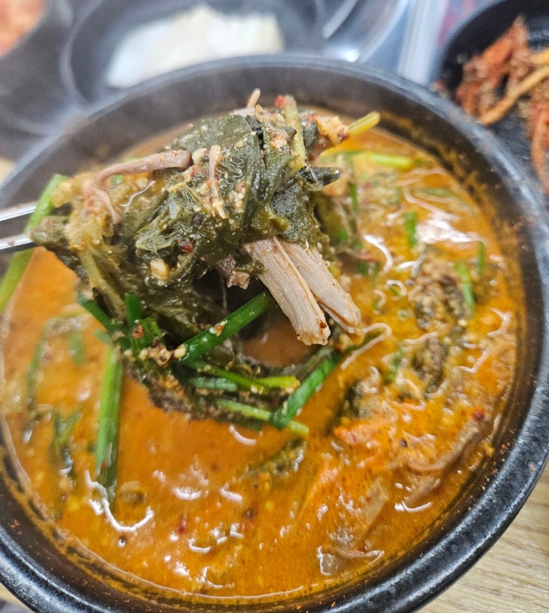 울산 흑염소 맛집 정드림흑염소 울산신정점 잡내 1도 없는 9900원 가성비 흑염소탕 내돈내산 ....