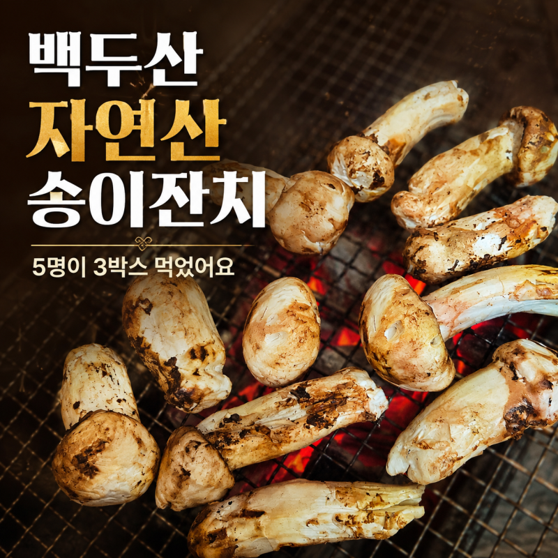 백두산 자연산 송이 숯불구이, 5명이 3박스 먹은 주말 송이잔치