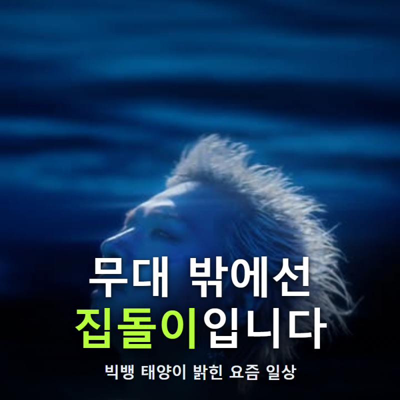 "거의 집에서 다 합니다"…빅뱅 태양이 달라진 진짜 이유