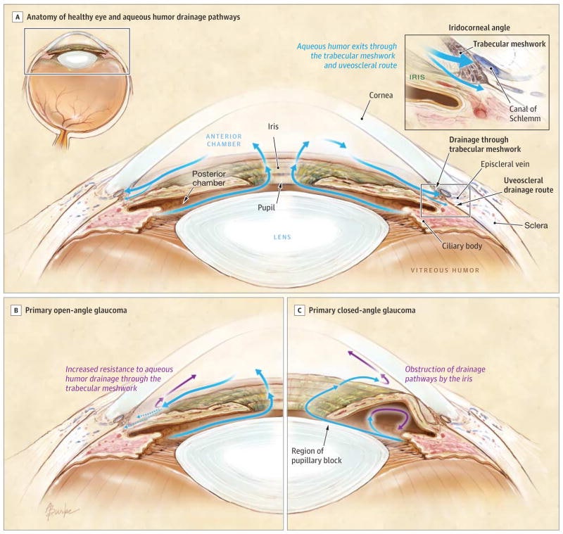 녹내장 Glaucoma II: 의료정보 의료진 100명 · 의료기관 100곳 · 정부기관 · 약물 · 연구정보