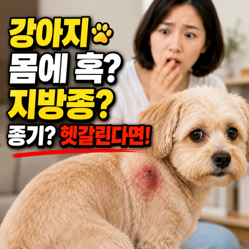 강아지 지방종 종기 차이는? 댕댕이 몸에 혹 만져질때 대처법