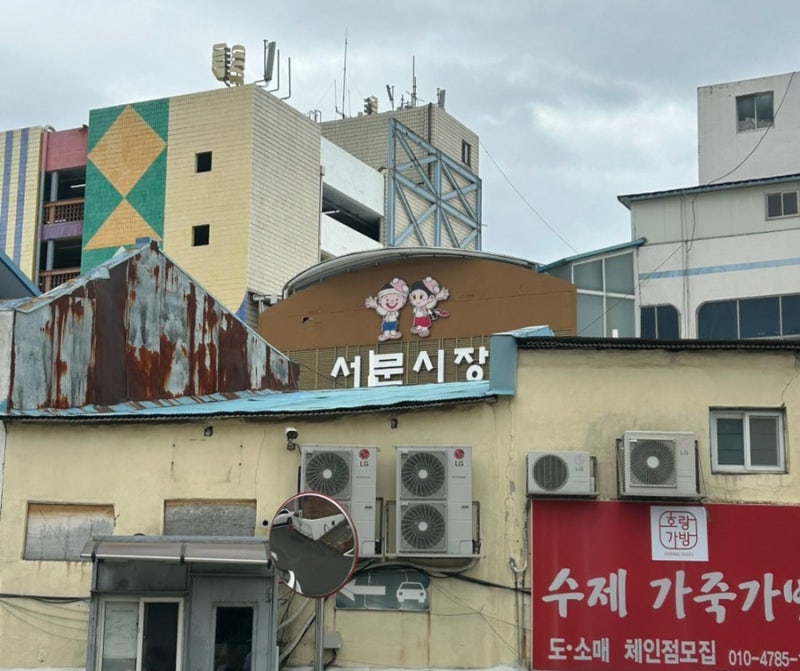 [대구 맛집] 서문시장 먹거리 추천｜에덴김밥+멍게집부터 삼각만두1호점·매운어묵·닭강정·....