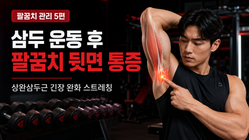 상완삼두근 건염 예방: 팔꿈치 뒷면 통증을 잡는 삼두 이완법