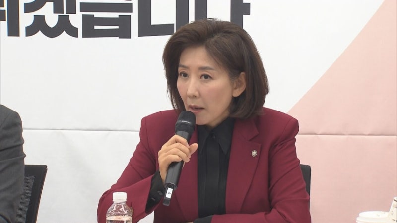4인 중징계 비판한 나경원·김태호 SNS 덮친 지지자 '비난 댓글'... "외롭게 싸우는 대표 왜 흔....