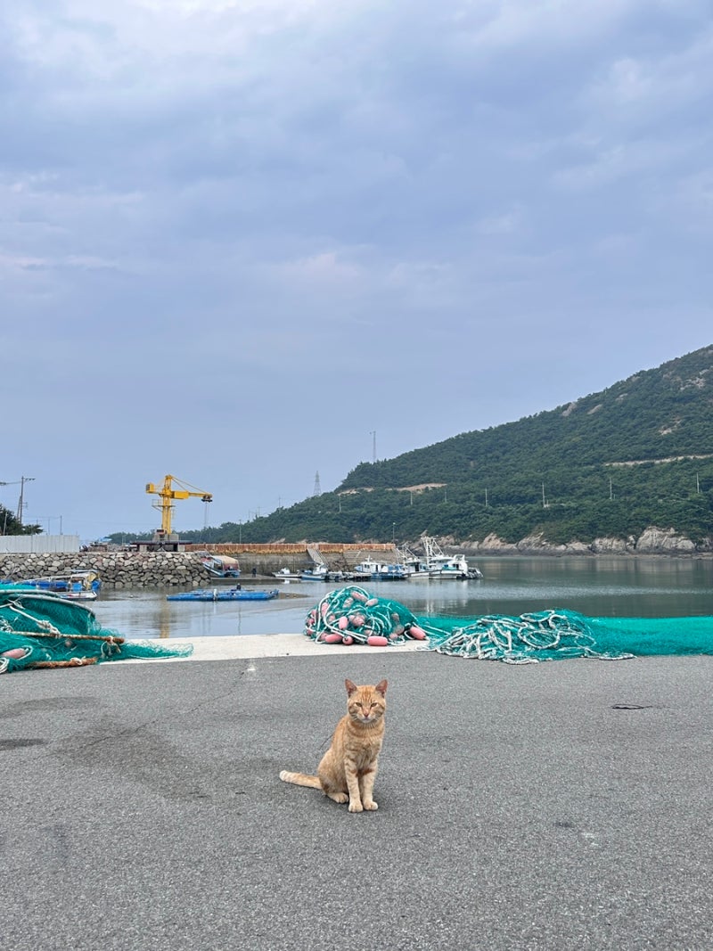 Gunsan 1 Night 2 Days Trip, Gogunsan Archipelago Travel: Sinsido Accommodation, 1 Night 3 Meals at Minbakjip Badamanchan, Gunsan Stay