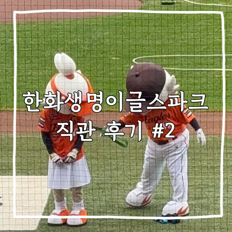 [한화이글스#2] 한화생명볼파크 직관후기 | 스카이박스,110구역, 218구역 시야 정보