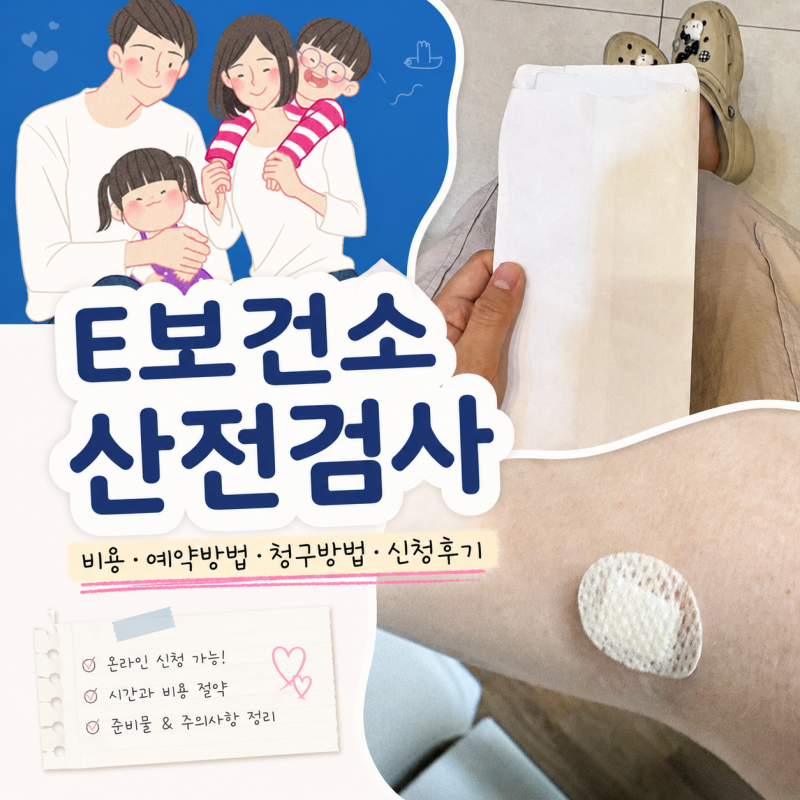 e보건소 산전검사 비용 13만원 지원받기! 임신 사전건강관리 검사 예약부터 청구방법까지 신....