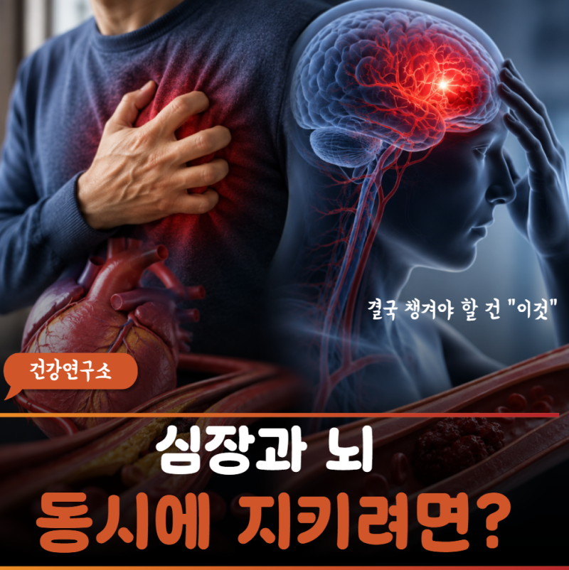 "6명 중 1명은 겪는다" 심근경색 vs 뇌경색, 혈관이 막힌건 알겠는데 뭐가 달라?