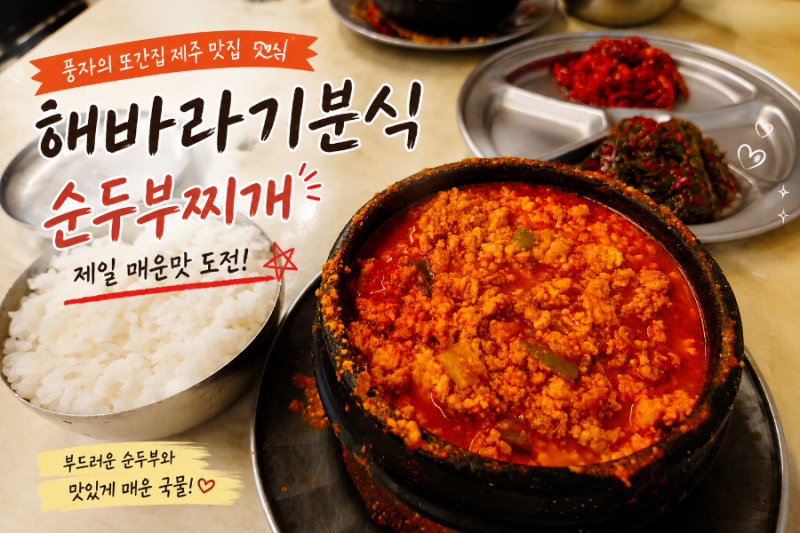 제주 가볼만한곳 풍자의 또간집 해바라기분식, 순두부찌개 제대로 먹고 온 후기