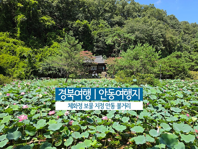 우리나라 문화유산 | 경북 여행 안동 여행지 보물 체화정 안동 볼거리