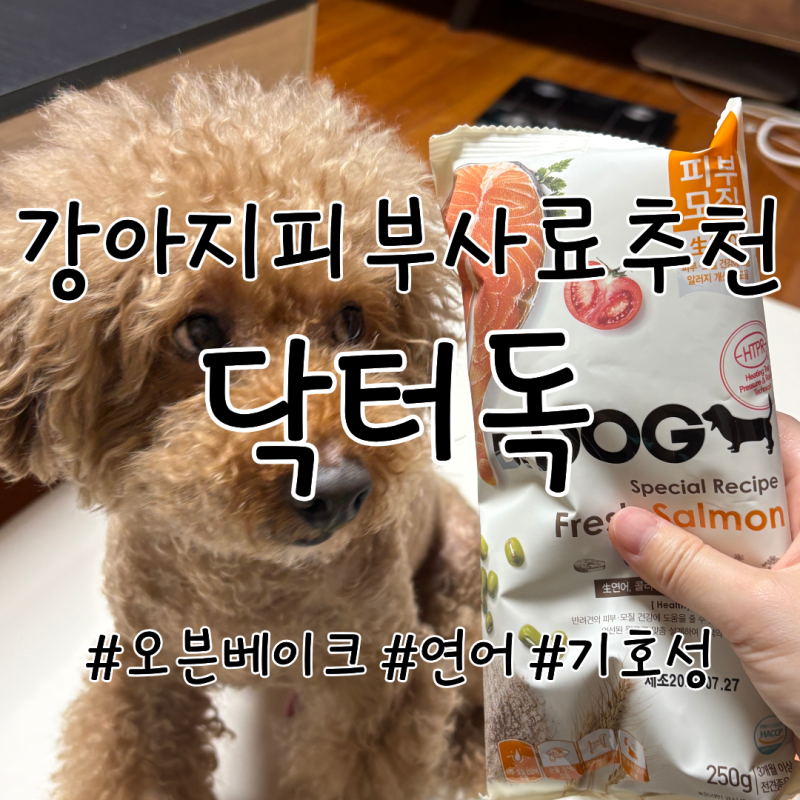 강아지피부사료추천 닥터독 연어 오븐베이크 사료 후기