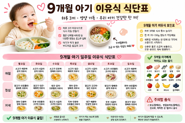 9개월 아기 이유식 식단표 총정리ㅣ하루3끼 식사량부터 먹어도 되는 음식까지