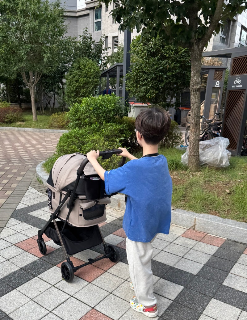 피카고 프리투고 2.5 솔직 사용 후기!