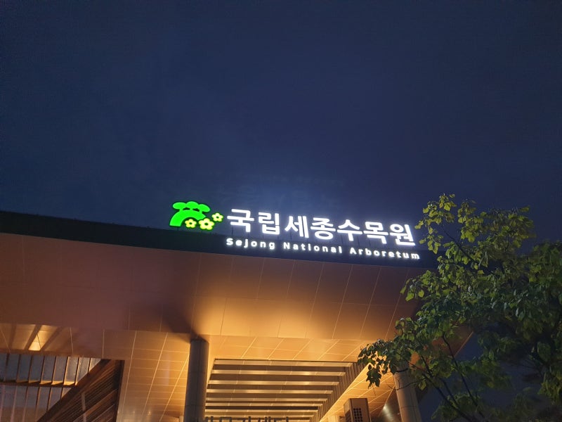 국립세종수목원 야간개장 관람순서 여름밤 풍경