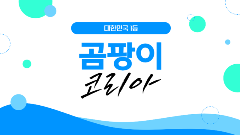 벽지 곰팡이 제거 업체 시공 과정, 다시 안 생기는 방법