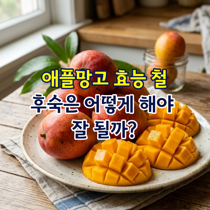 애플망고 효능 철, 후숙은 어떻게 해야 잘 될까?