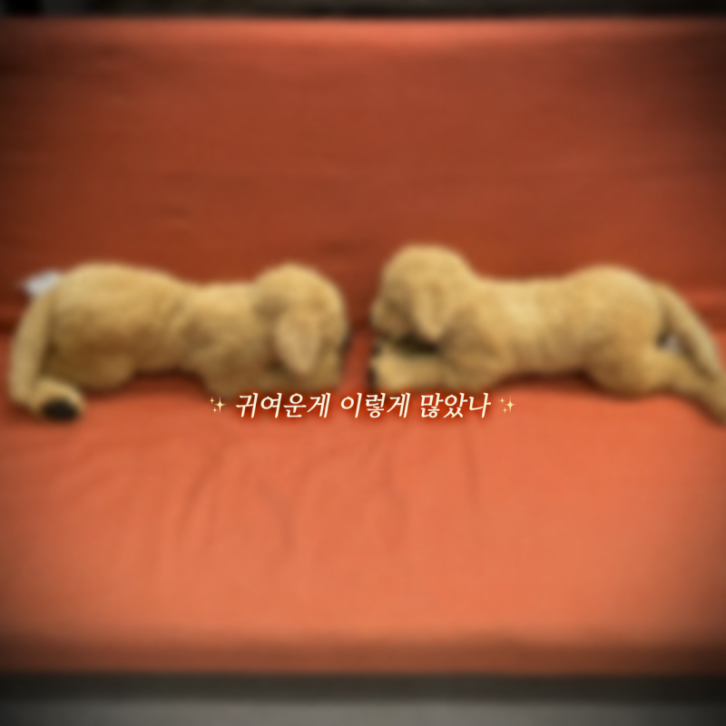 "귀여운 게 이렇게 많았나?" 이케아 온라인몰 인형 종류 취향저격..