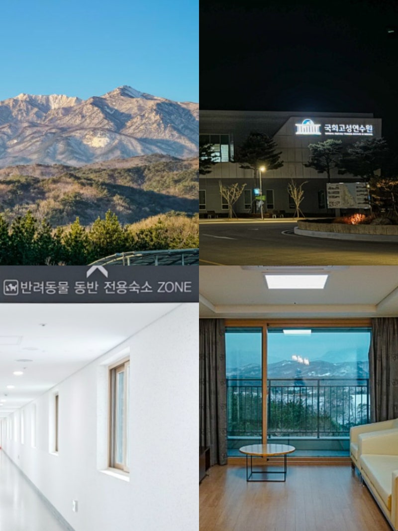 강원도 고성 리조트 숙소 국회고성연수원 고성 애견 동반 펜션