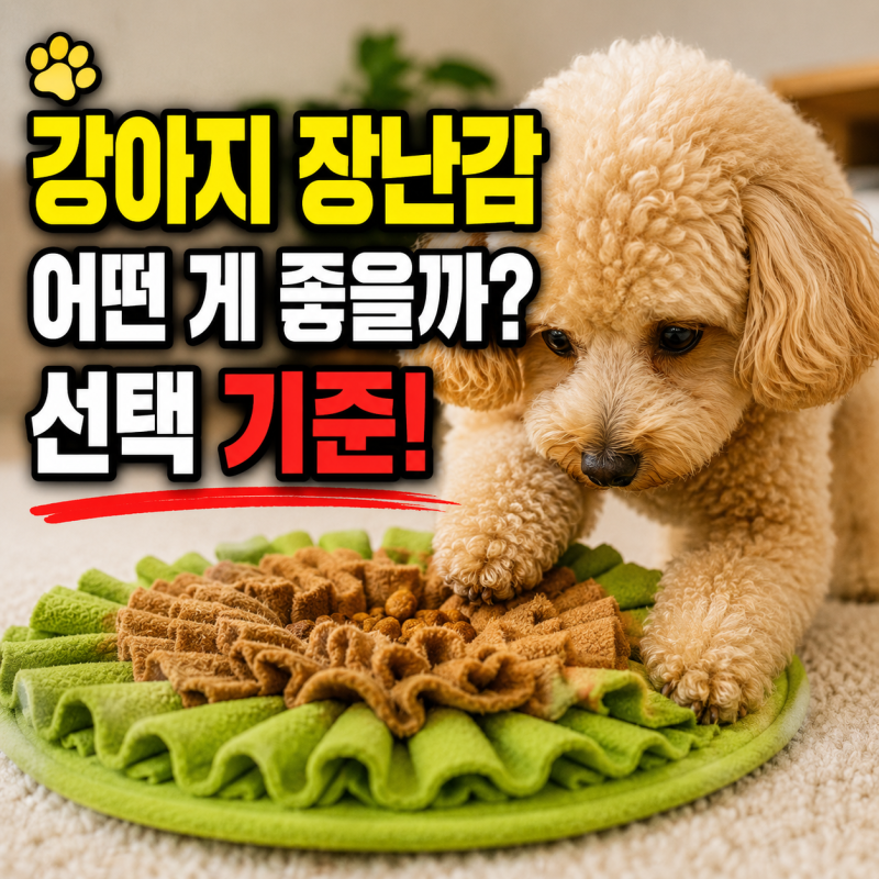 강아지 장난감 추천 노즈워크 애견 장난감 움직이는 장난감 선택법