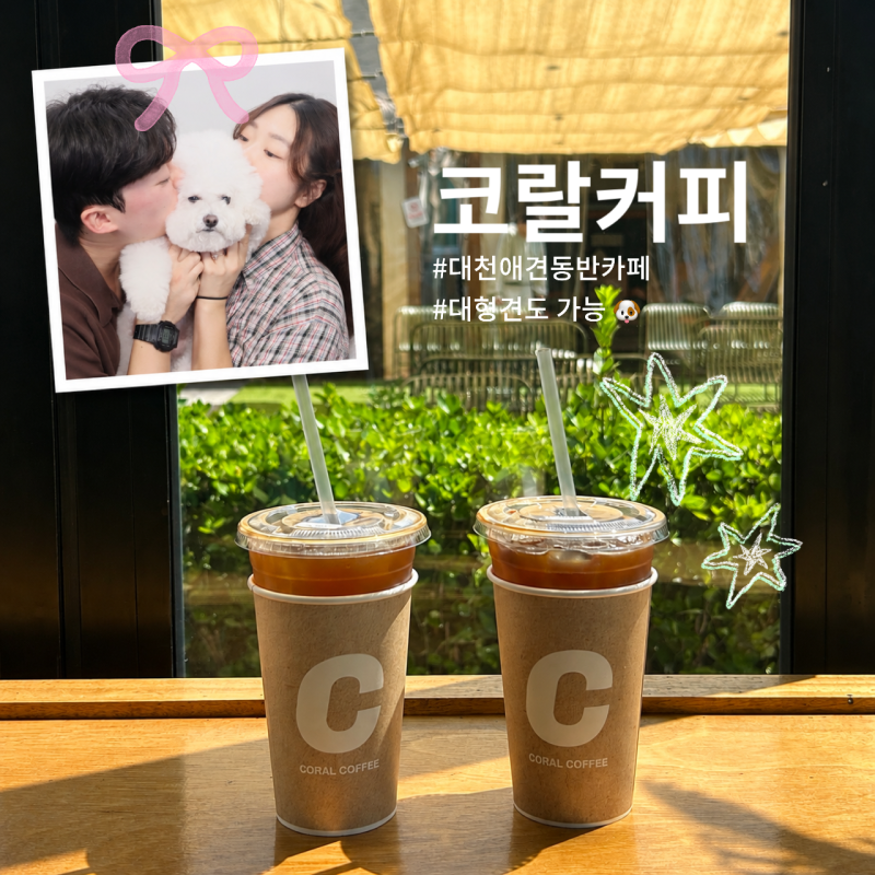 대천해수욕장 카페 코랄커피, 애견동반 가능한 캠핑감성 카페