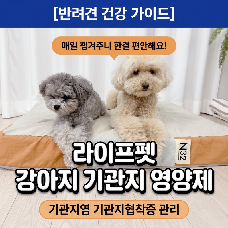 강아지 기관지 영양제 기관지염 기관지협착증 관리 애견영양제