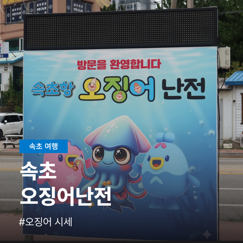 Sokcho Squid Market at Dongmyeong Port & Sokcho Port: Hours, Closures, Operating Period, Prices - A Complete Guide