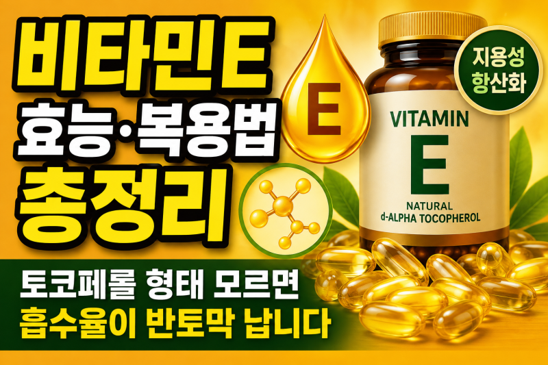 비타민E 효능·복용법 총정리 — 토코페롤 형태 모르면 흡수율이 반토막 납니다