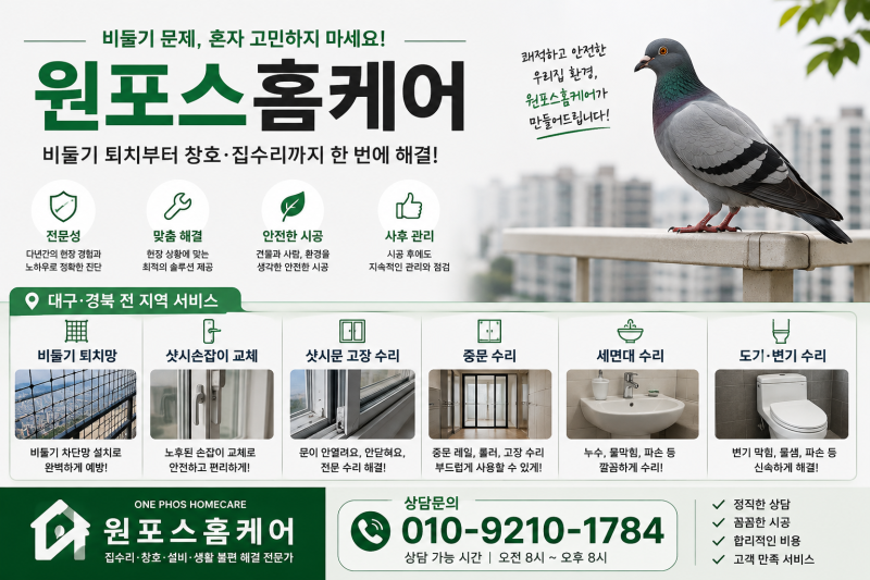 비둘기는 어떤 새일까? 수명·번식·새끼·습성·귀소본능 총정리