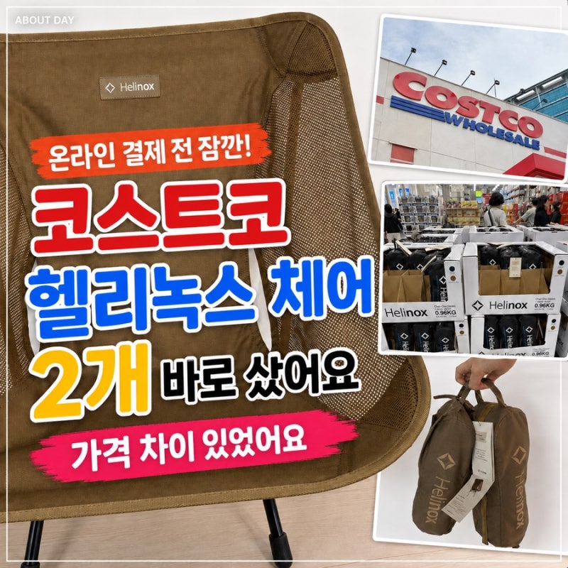 코스트코 헬리녹스 체어원 2개 바로 샀어요 온라인 가격부터 봤다면 놀랄 차이