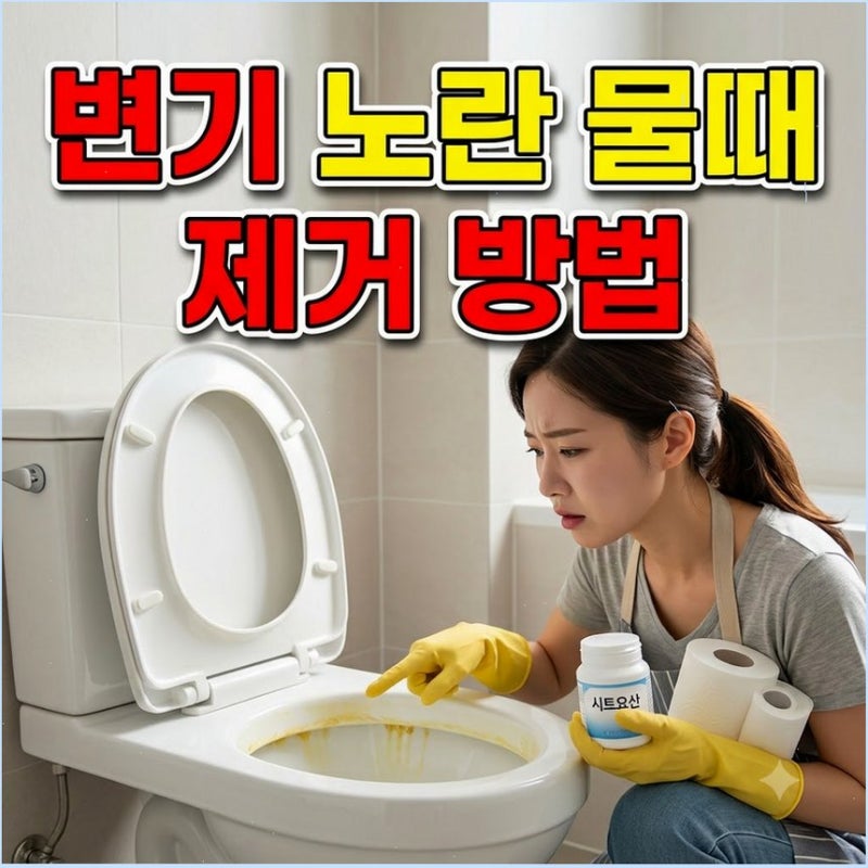 화장실 변기 누런 요석 찌든때와 냄새 셀프 제거법 휴지 덧대어 30분간 푹 불려보세요