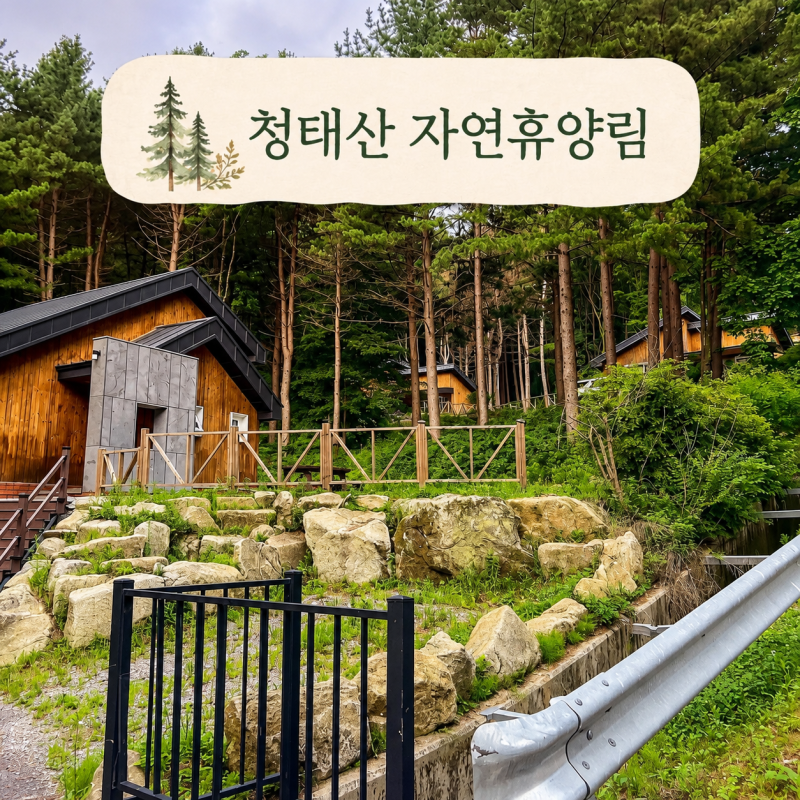강원도 횡성 힐링 숙소 추천! 국립 청태산자연휴양림 숲속에서 1박 후기
