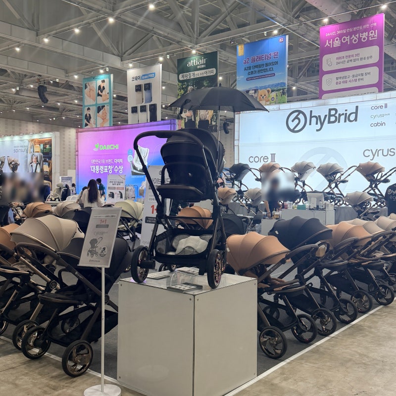 신생아 유모차 언제부터 사용할까 사용 시기와 종류별 차이