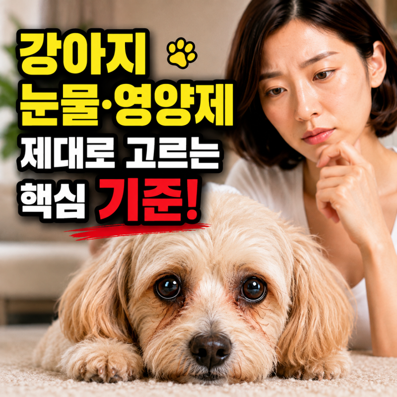 강아지 영양제 어떤 게 좋을까? 노견 눈물영양제 선택법