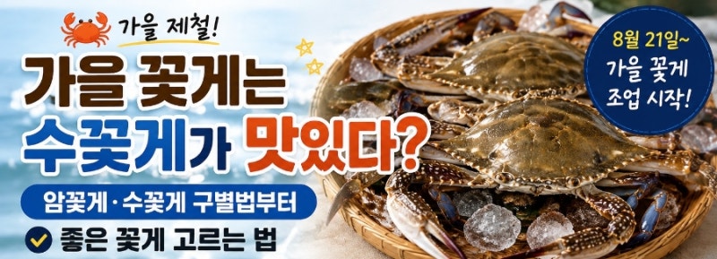 가을 꽃게는 수꽃게가 맛있다? 암꽃게·수꽃게 구별법부터 좋은 꽃게 고르는 법