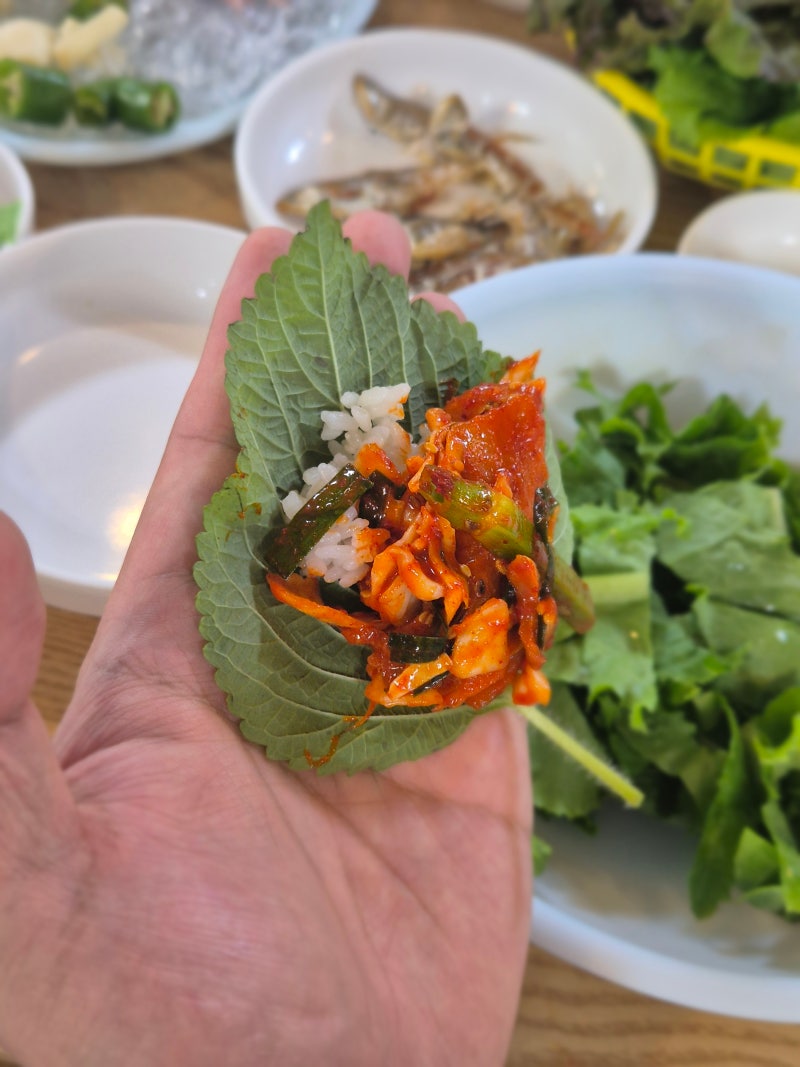밴댕이 소갈딱지도 반할 맛집. 다복집 솔직 리뷰(밴댕이회)