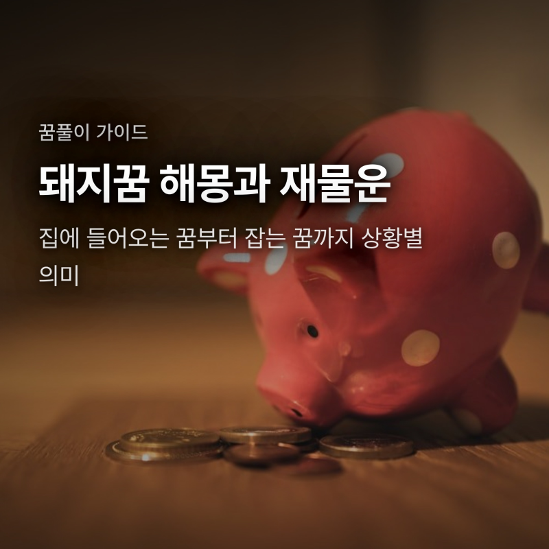 돼지꿈 해몽, 돼지가 들어오는 꿈과 잡는 꿈의 재물운 차이