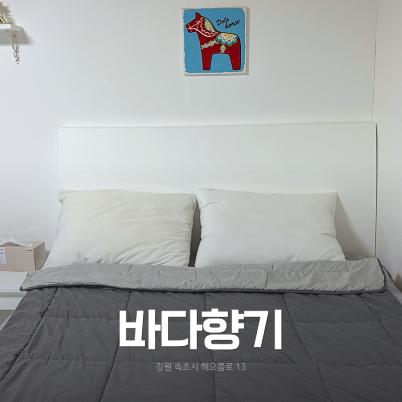바다향기｜외옹치해변 대포항 가까운 가성비 속초펜션 후기