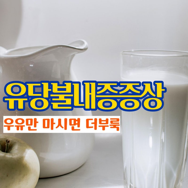 유당불내증증상 더부룩한 속이 느껴질 때 우유와 분유 선택법