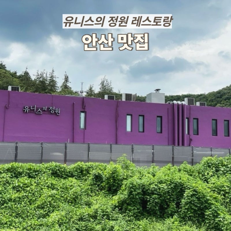 안산 맛집 유니스의 정원 레스토랑 | 가족외식으로 다녀온 지중해식 맛집