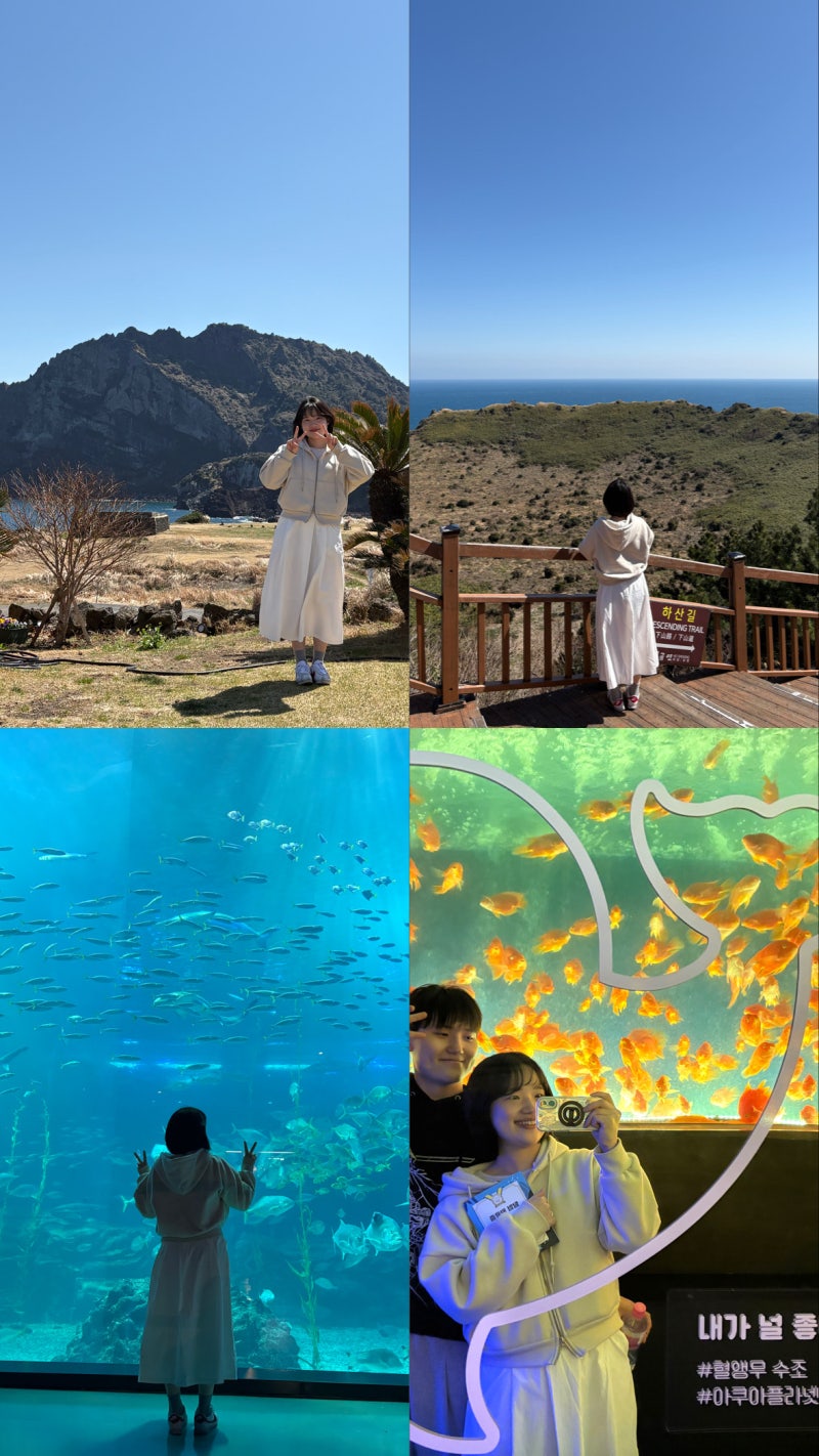 행복한 제주도 성산, 서귀포 2박 3일 여행(고기국수, 샐러리제주, 맛나식당, 해일리카페, 아쿠....