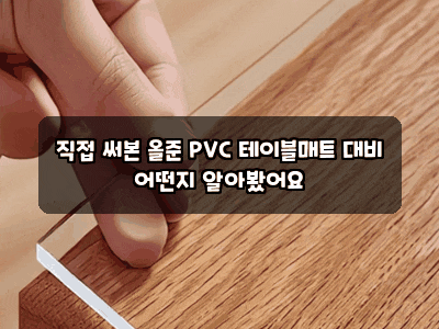 직접 써본 올준 PVC 테이블매트 대비 어떤지 알아봤어요