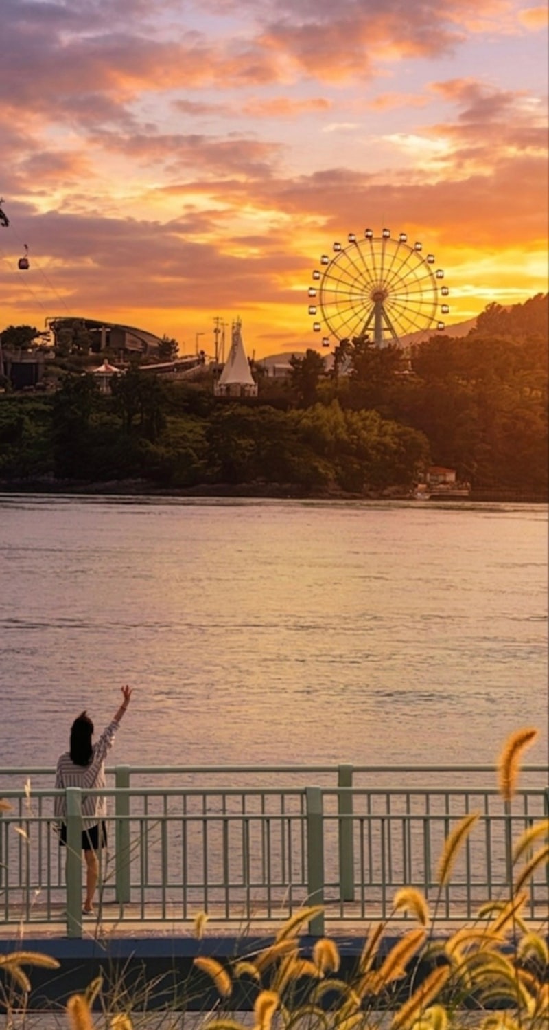 Sacheon Must-Visit Spots: Silan Sunset Observatory Bridge, Samcheonpo Bridge Park, Park Seo-jin Road, Seo-jin's Dried Seafood