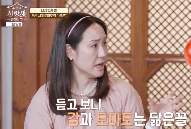주은네사랑채 토마토쥬스 보넬드 아이엠 토마토주스 원액 후기!