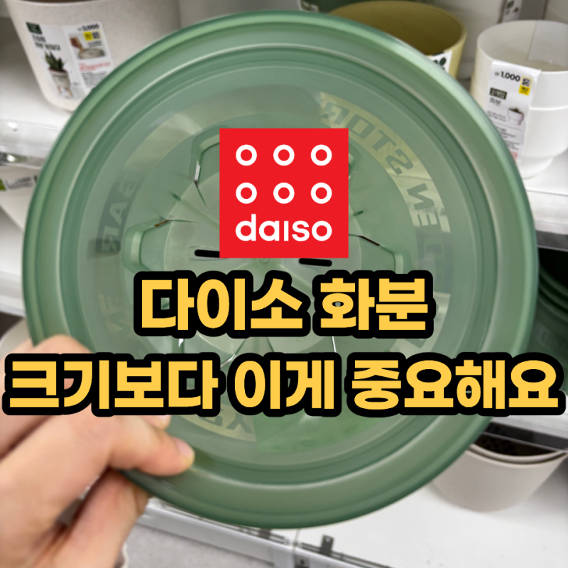 다이소 화분 앞에서 10분째 고민한다면? 크기보다 먼저 볼 게 있습니다