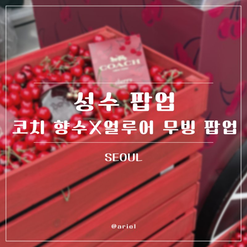 Coach Perfume X Allure Moving Pop-up in Seongsu: August Pop-up Review