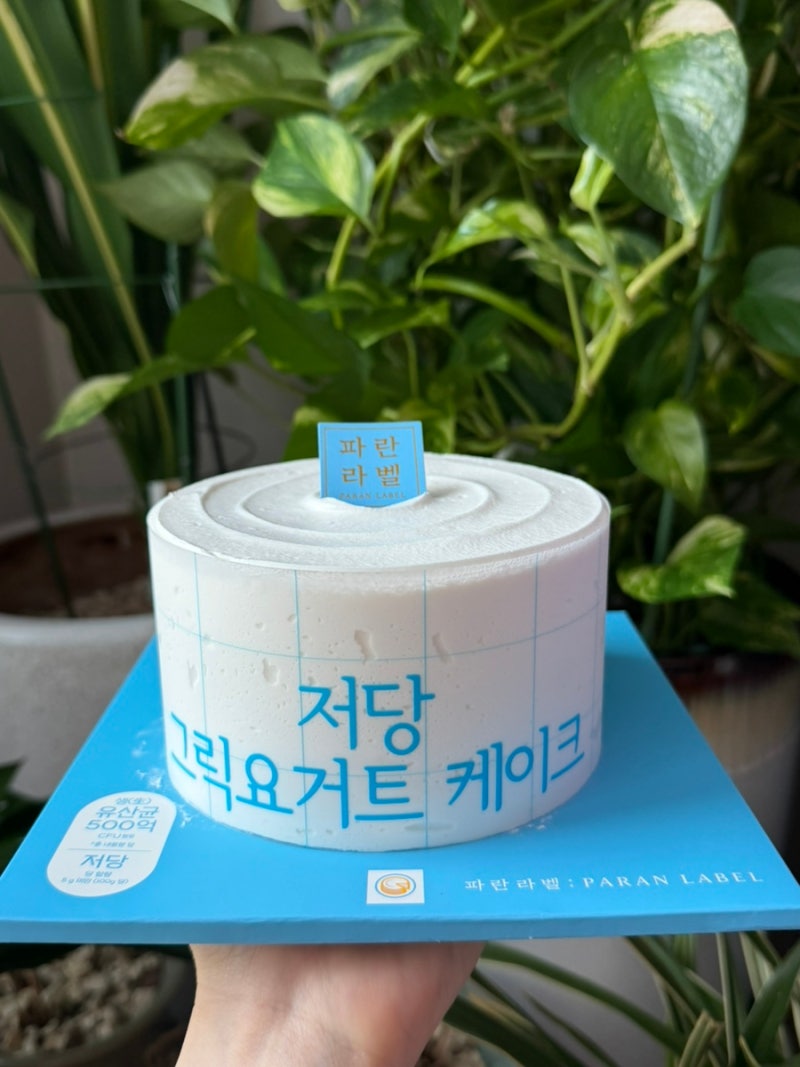 [파리바게뜨 저당 케이크] 파란라벨 그릭요거트 케이크 내돈내산 솔직후기