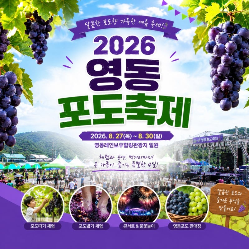 2026 영동포도축제 일정｜포도따기·포도밟기 체험부터 콘서트까지 총정리