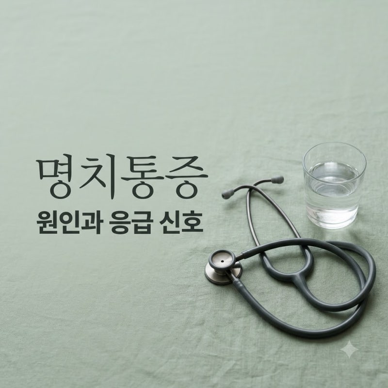 명치통증 콕콕 찌를 때 원인 5가지와 꼭 확인해야 할 위험 신호