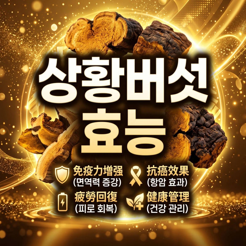 상황버섯 효능과 먹는방법 완벽 정리